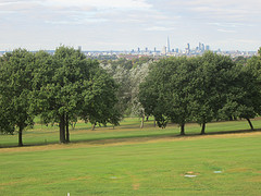 picture of Golf Course.